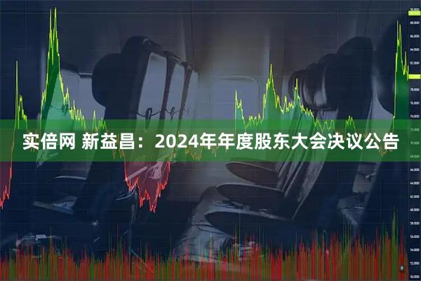 实倍网 新益昌：2024年年度股东大会决议公告
