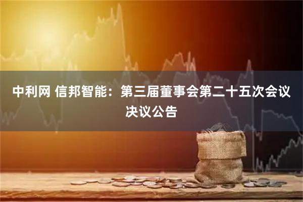 中利网 信邦智能：第三届董事会第二十五次会议决议公告