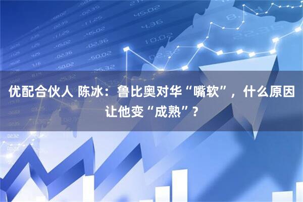 优配合伙人 陈冰:鲁比奥对华“嘴软”,什么原因让他变“成熟”?